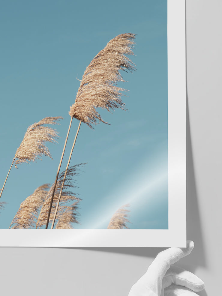 Masmavi - Art Print  Poster