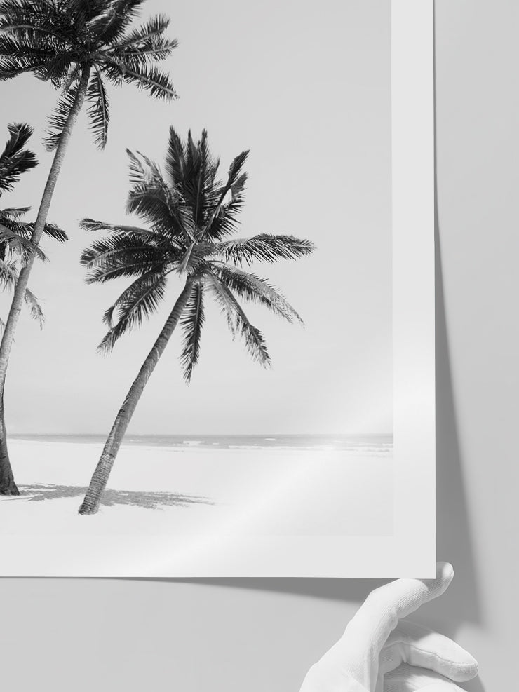 Üç Palmiye - Art Print
