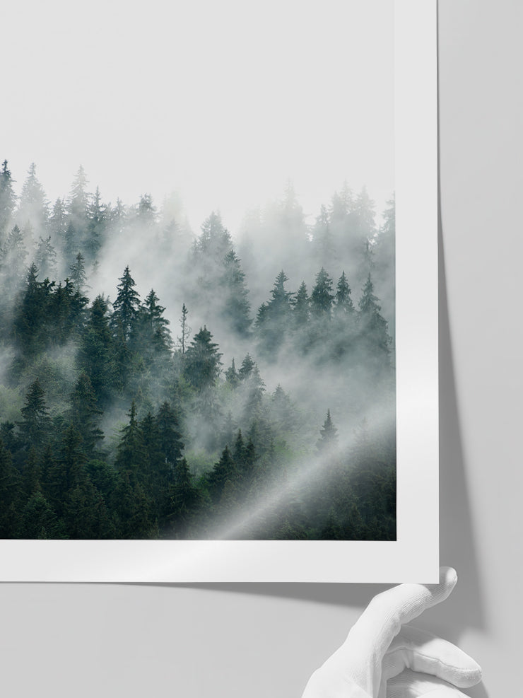 Sisli Orman N1 - Art Print  Poster