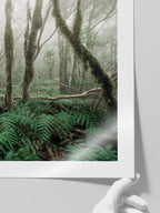 Yeşil Orman - Art Print