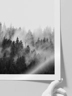 Siyah Beyaz Orman - Art Print