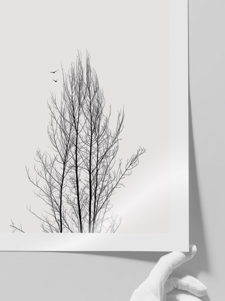 Kumrular - Art Print