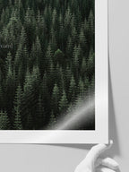 Green Dream - Art Print