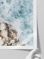 Deniz Köpüğü N2 - Art Print