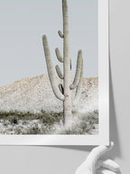 Big Cactus - Art Print