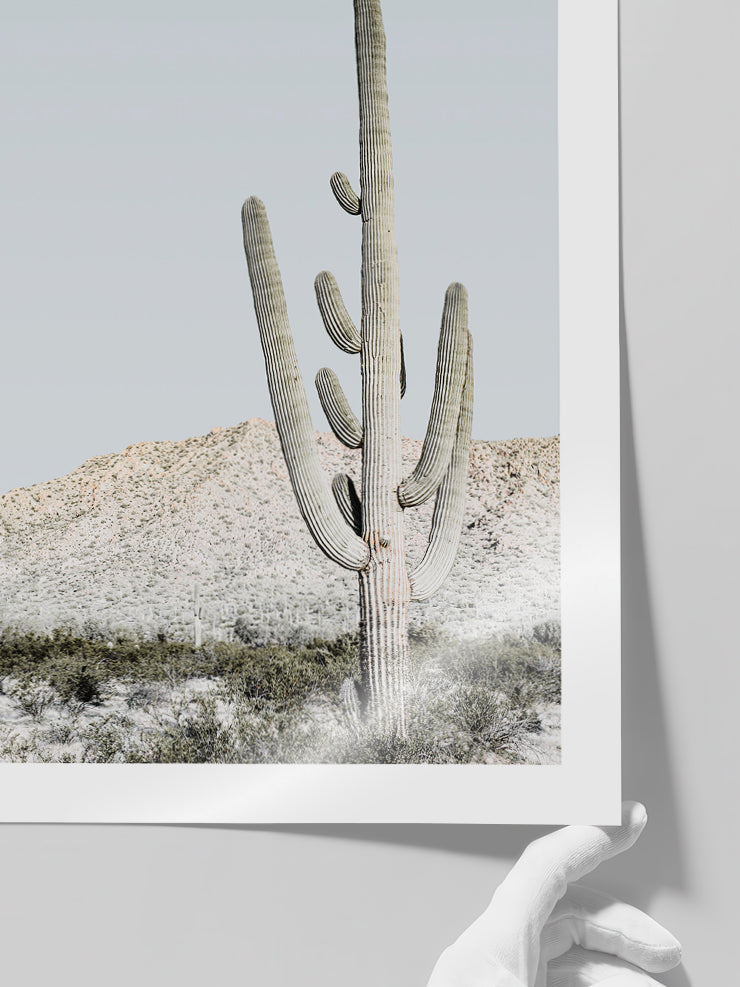 Big Cactus - Art Print  Poster