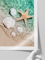 Deniz Yıldızı - Art Print