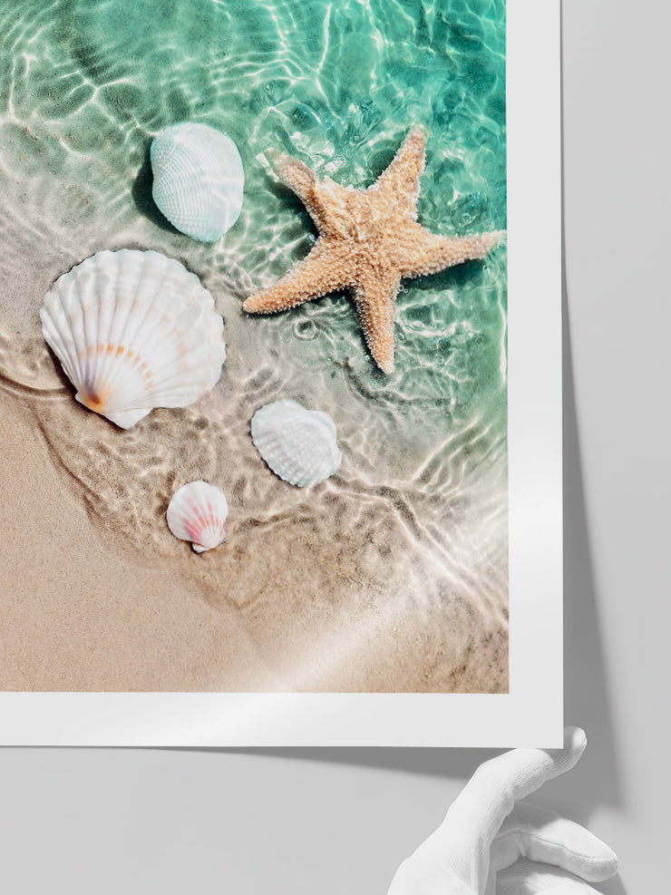 Deniz Yıldızı - Art Print