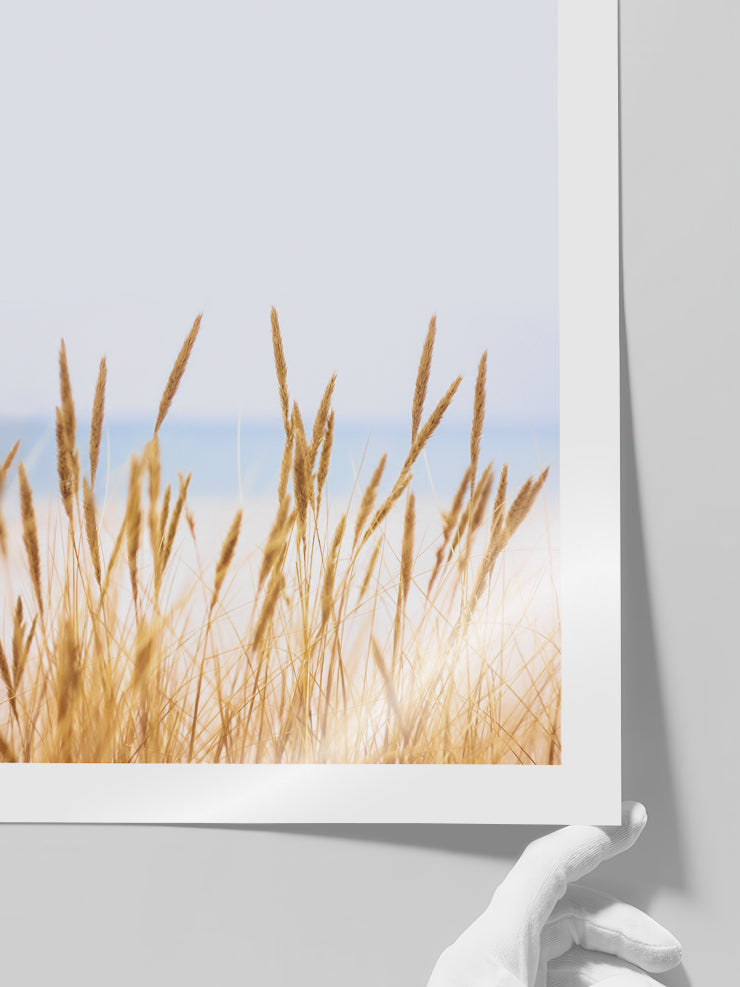 Buğday Tarlası N1 - Art Print  Poster