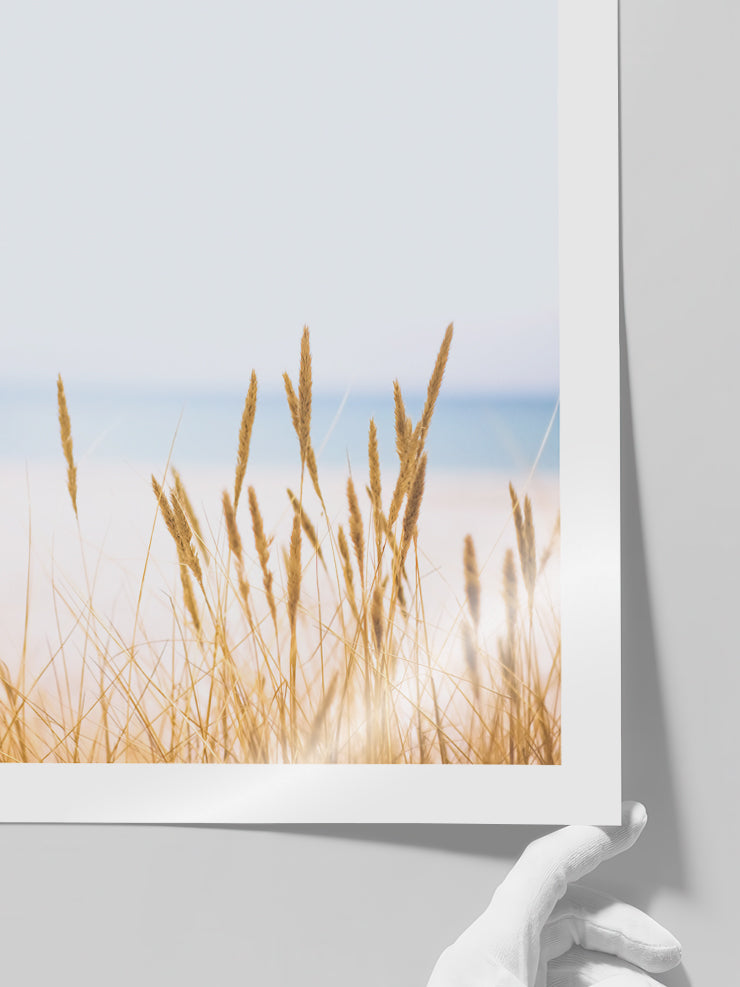 Buğday Tarlası N2 - Art Print  Poster