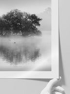 Kuğu Gölü - Art Print