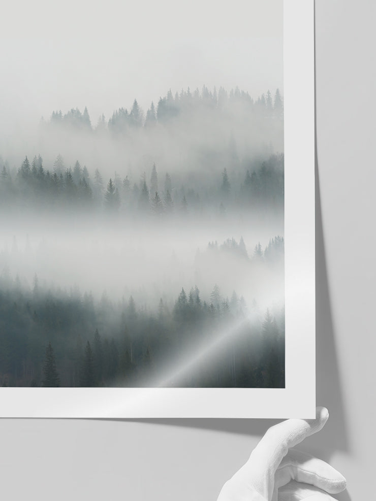 Mysterious Forest - Art Print  Poster