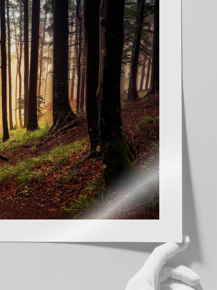 Orman - Art Print  Poster