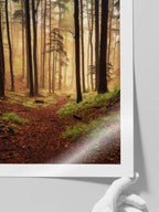 Güneşli Orman - Art Print