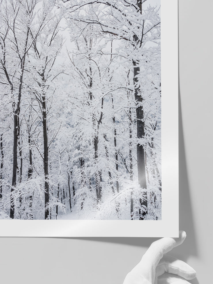 Karli Orman - Art Print