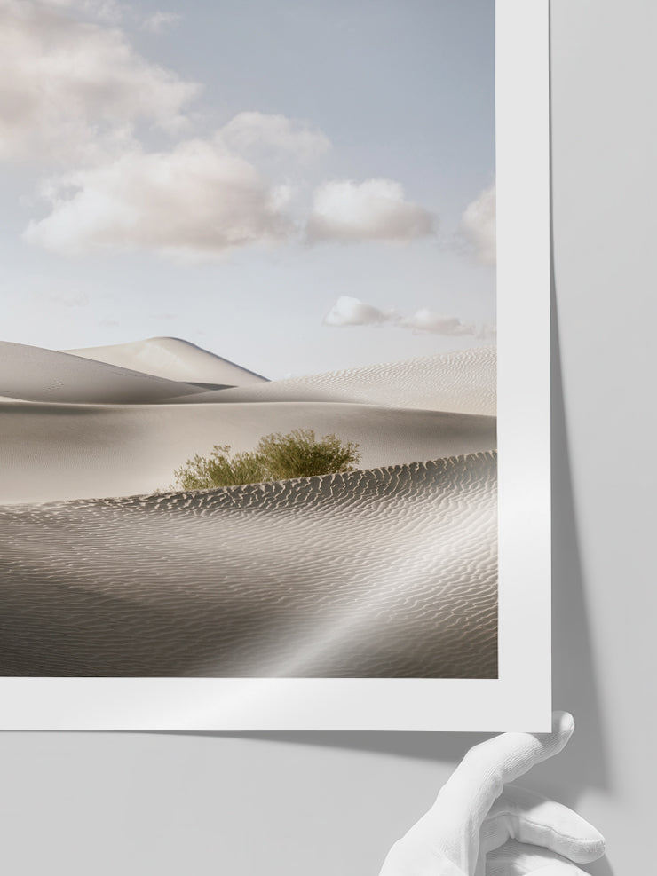 Dune - Art Print