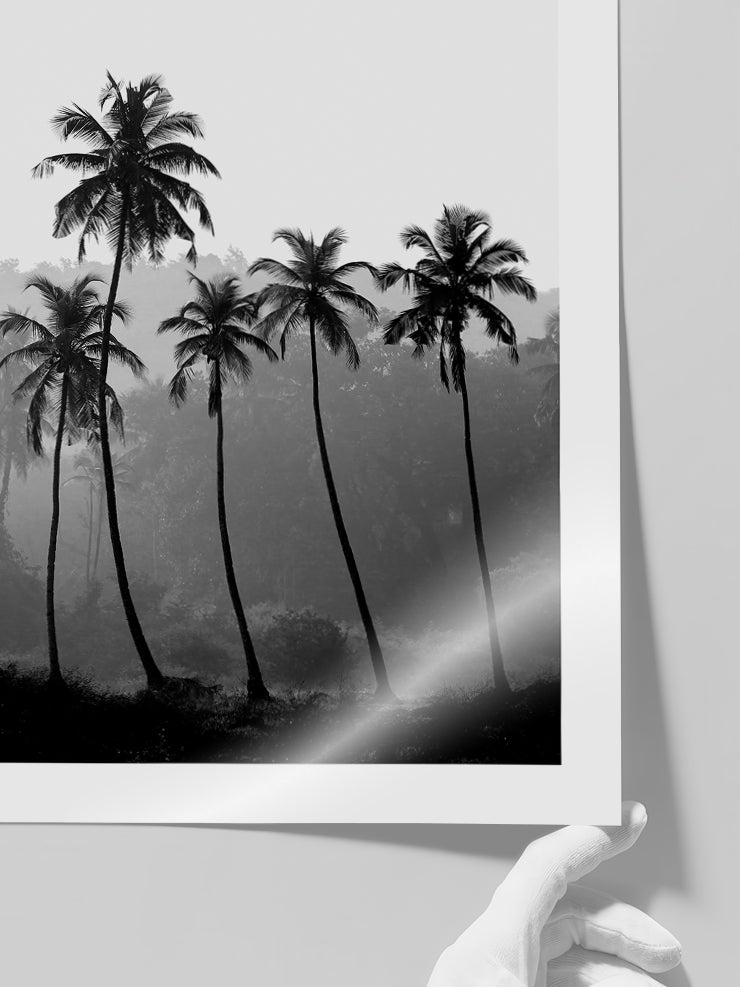 Palmiyeler - Art Print  Poster