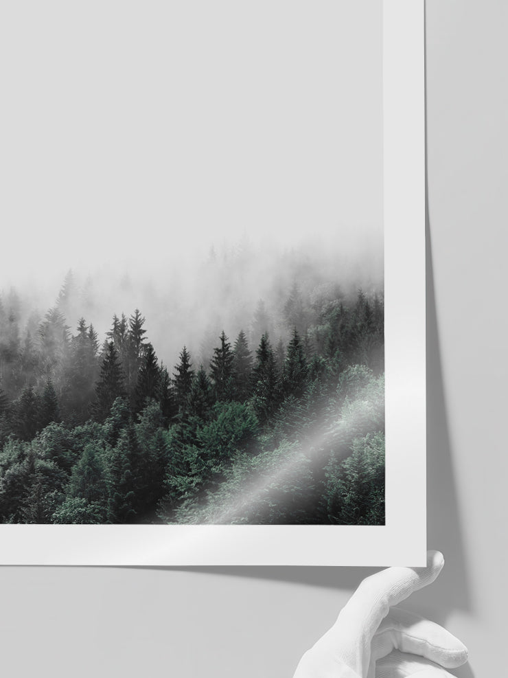 Sisli Orman N2 - Art Print