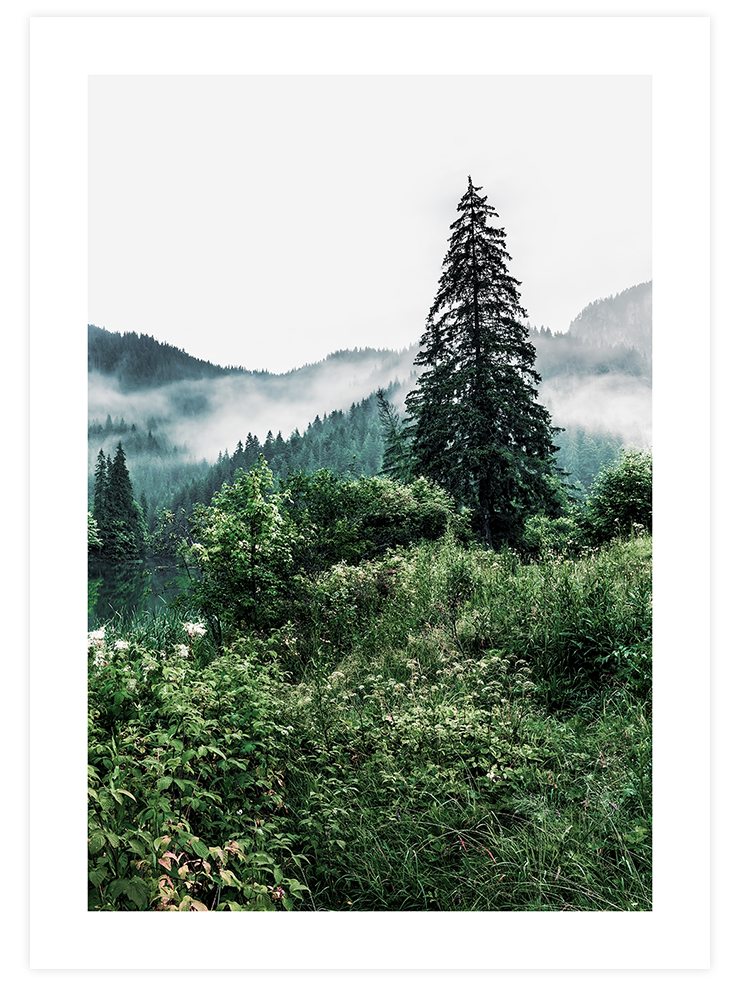 Nefes - Art Print Ürün ana görseli