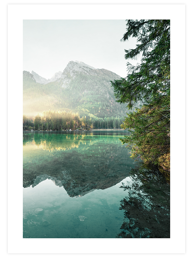 Nature Vibes - Poster Seti  Poster