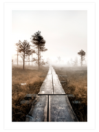 Brume Matinale N3 - Art Print