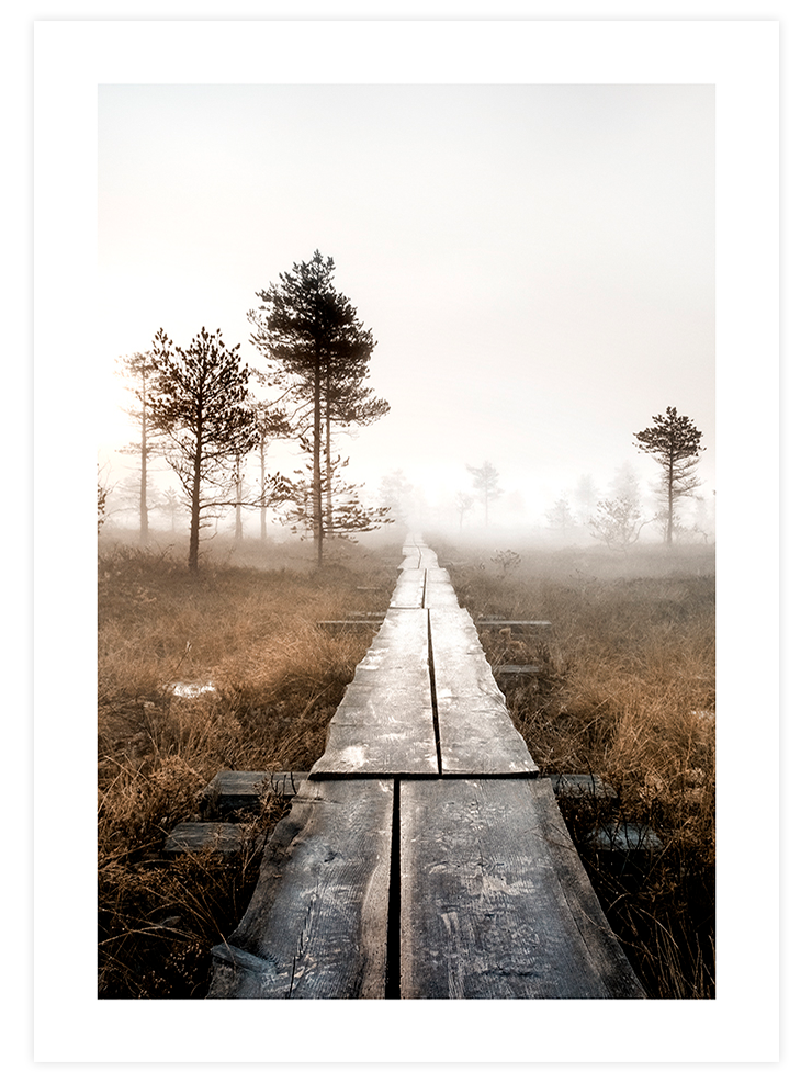 Brume Matinale N3 - Art Print