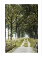 Patika Yol - Art Print