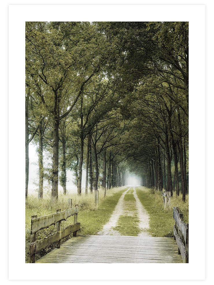 Patika Yol - Art Print