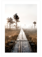 Brown Touch Poster Seti