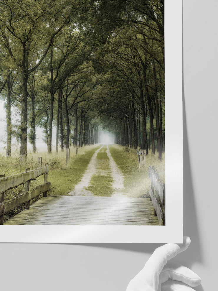 Patika Yol - Art Print  Poster