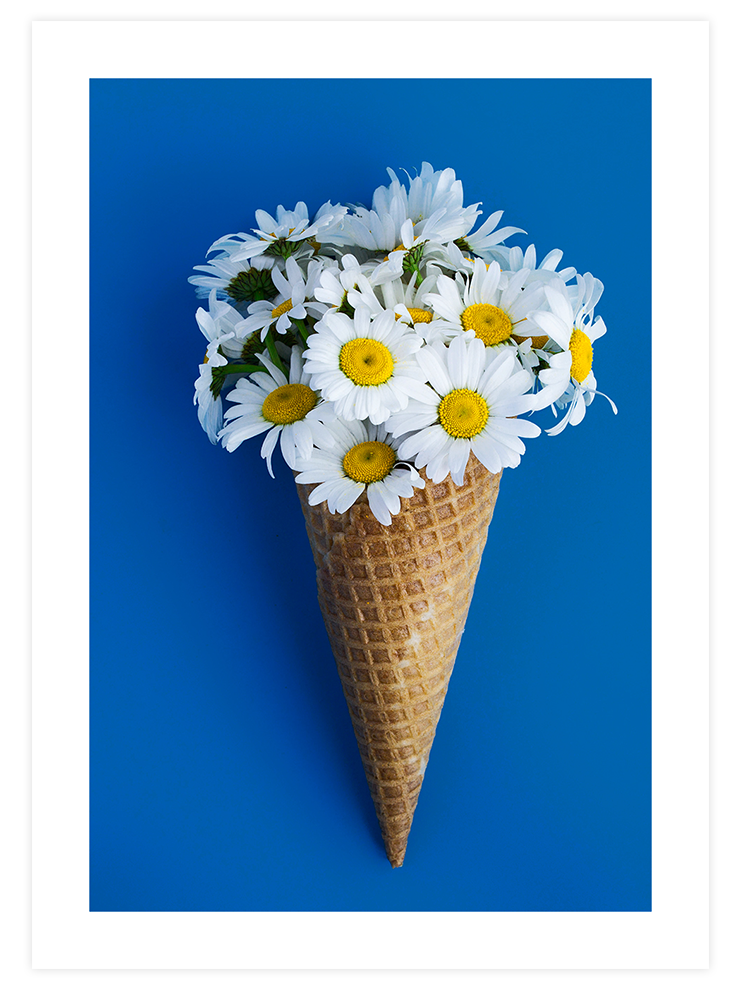 Papatyalı Dondurma - Art Print Fotoğraflar Poster