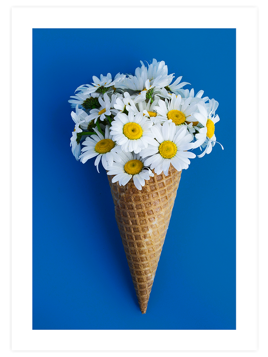 Papatyalı Dondurma Poster - Giclée Baskı