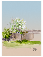 Egon Schiele Trees - Poster Seti Duo