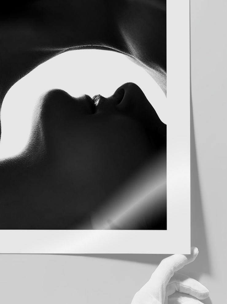 Silhouette - Art Print  Poster