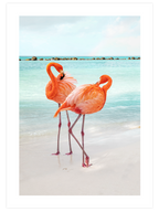 Natural Beauty Poster Seti