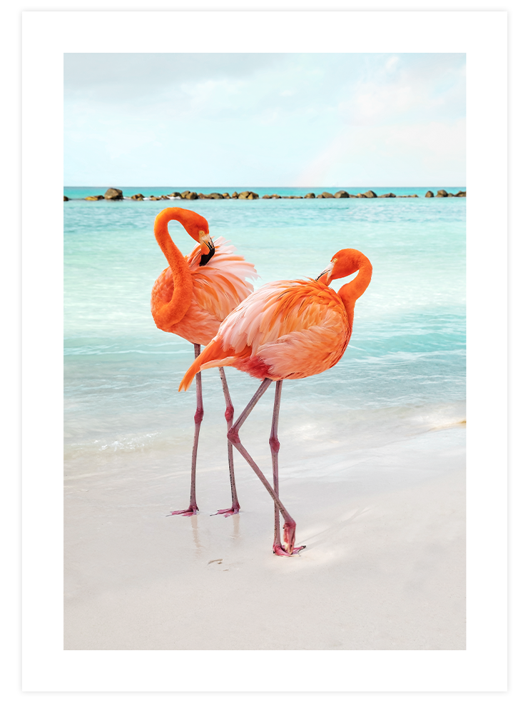 Natural Beauty Poster Seti