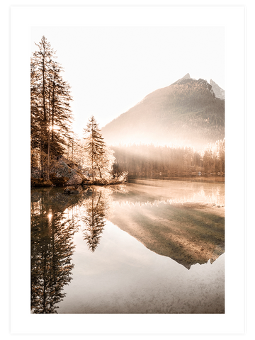 Golden Morning N2 - Art Print