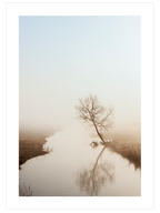 Brown Touch Poster Seti