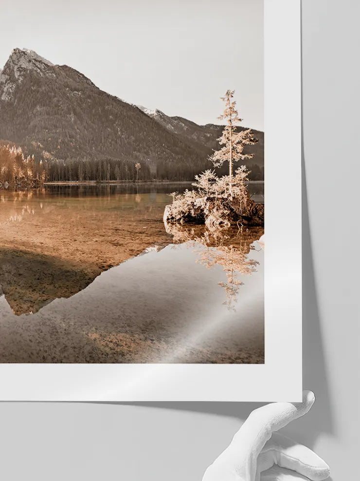 Golden Morning - Art Print