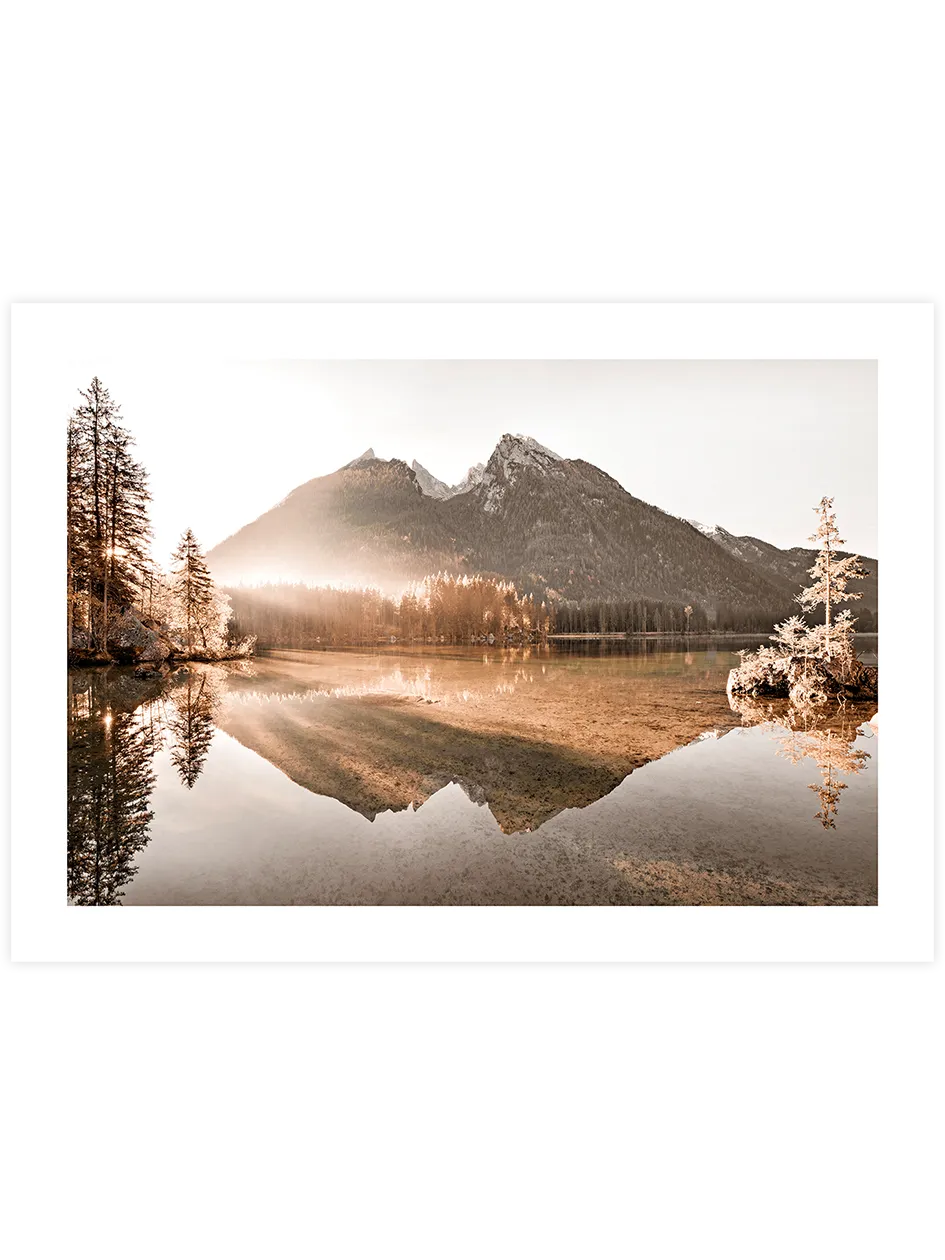 Golden Morning - Art Print