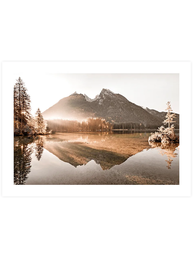 Golden Morning - Art Print