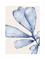 Blue Elegance Poster Seti