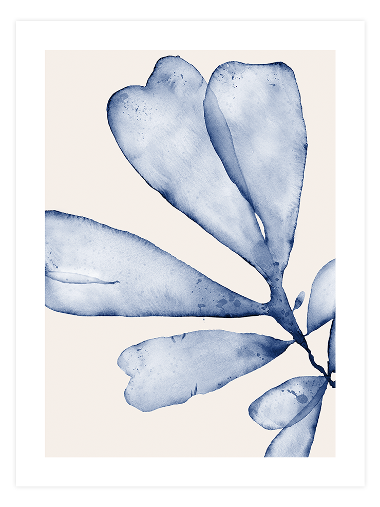 Blue Elegance Poster Seti