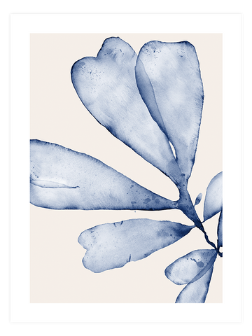 Blue Elegance Poster Seti