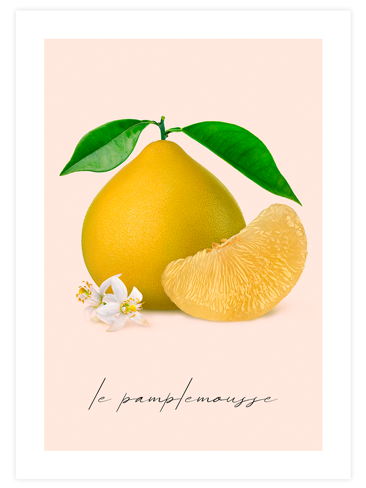Le Pamplemousse - Art Print Ürün ana görseli
