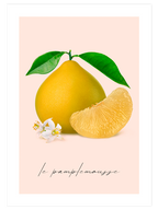 Le Pamplemousse - Art Print