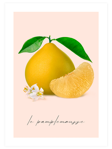 Le Pamplemousse - Art Print