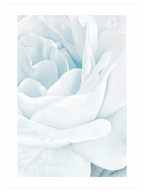 White & Blue Poster Seti