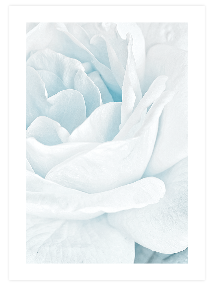 White & Blue Poster Seti