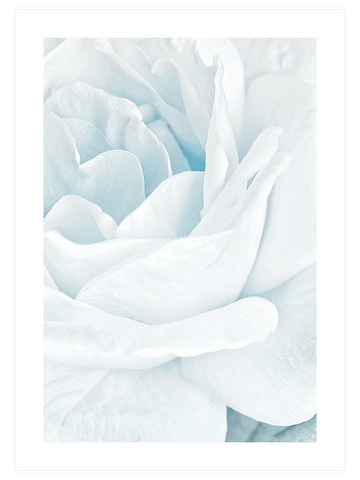 White & Blue Poster Seti